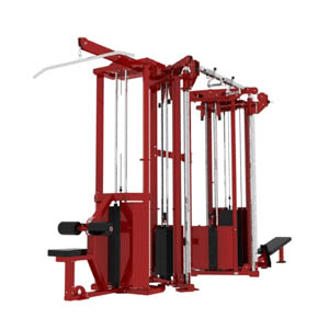 Dual Stack Functional Training Unit with Options
